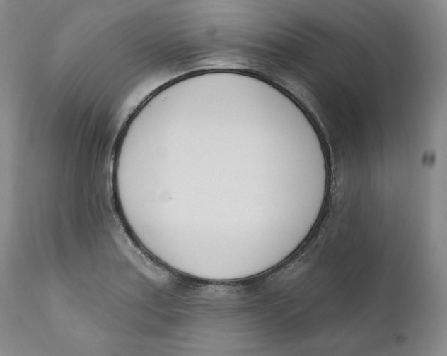 X0000110741179200907061000