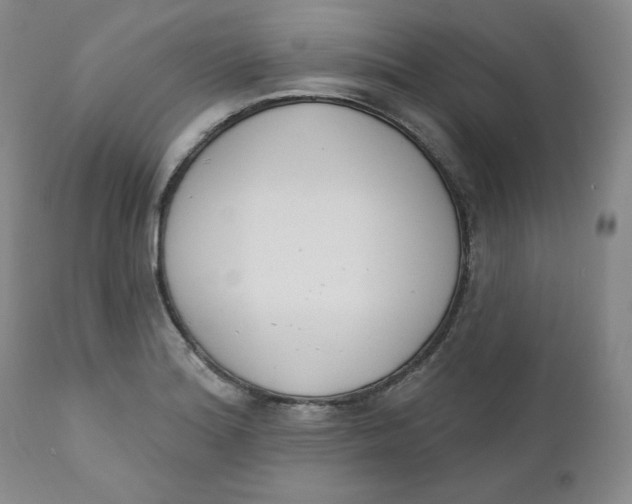 X0000110741180200907061000