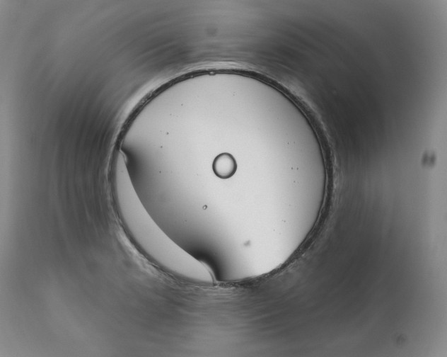 X0000110741181200907061000