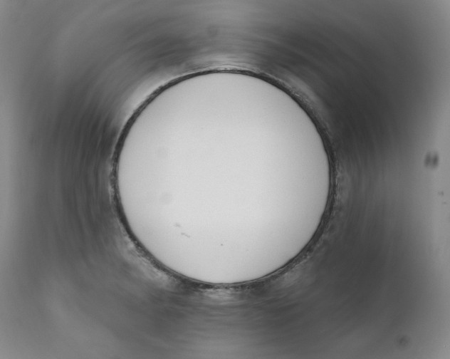 X0000110741182200907061000