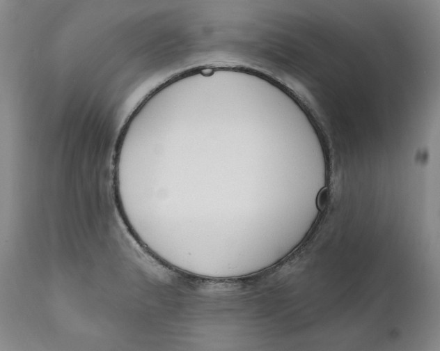 X0000110741183200907061000