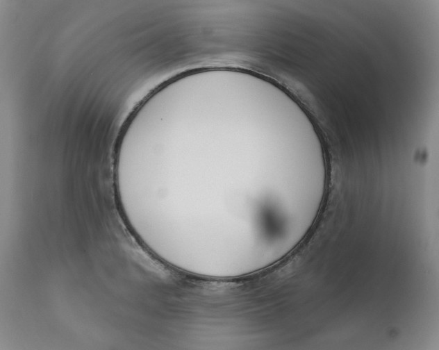 X0000110741184200907061000