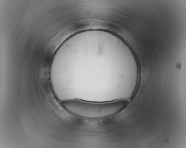 X0000110741185200907061000