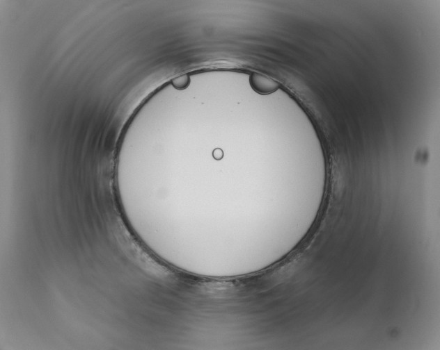 X0000110741186200907061000