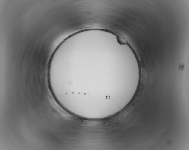 X0000110741187200907061000