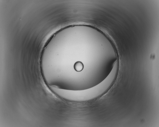 X0000110741189200907061000