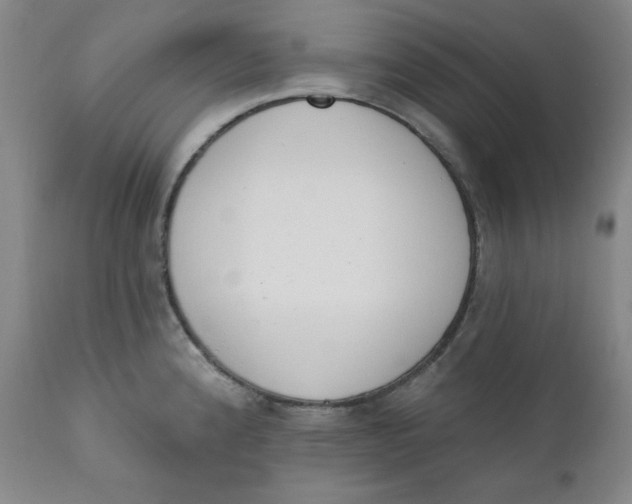 X0000110741192200907061000