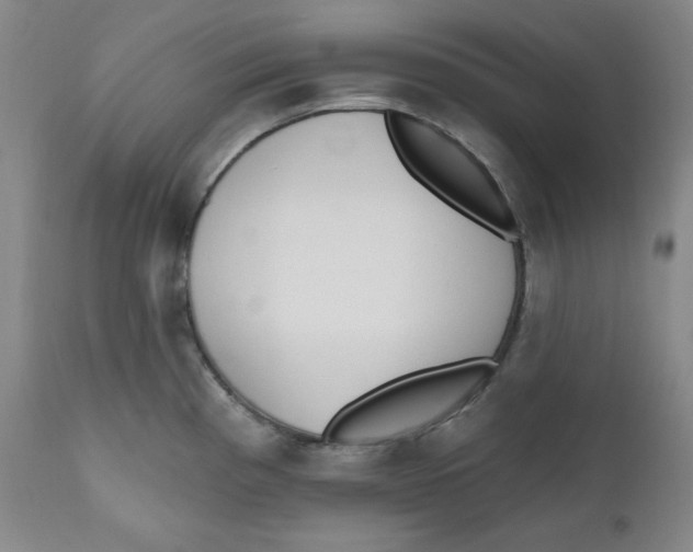 X0000110741193200907061000