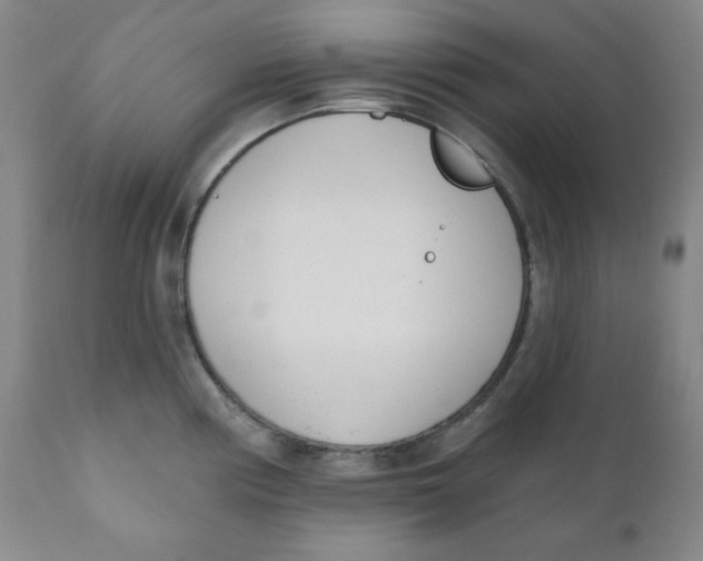 X0000110741194200907061000