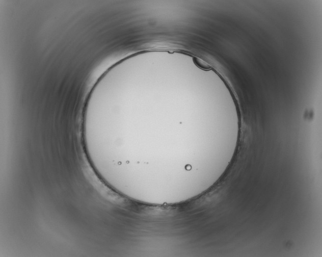 X0000110741195200907061000