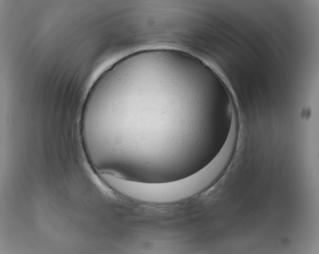 X0000110741197200907060959