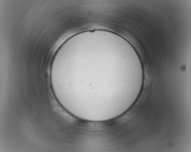 X0000110741198200907060959