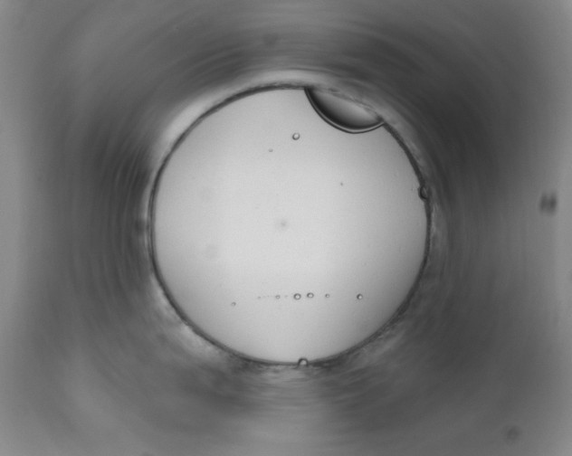 X0000110741199200907060959