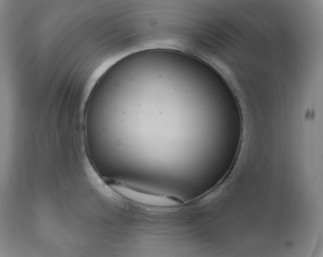 X0000110741200200907060959