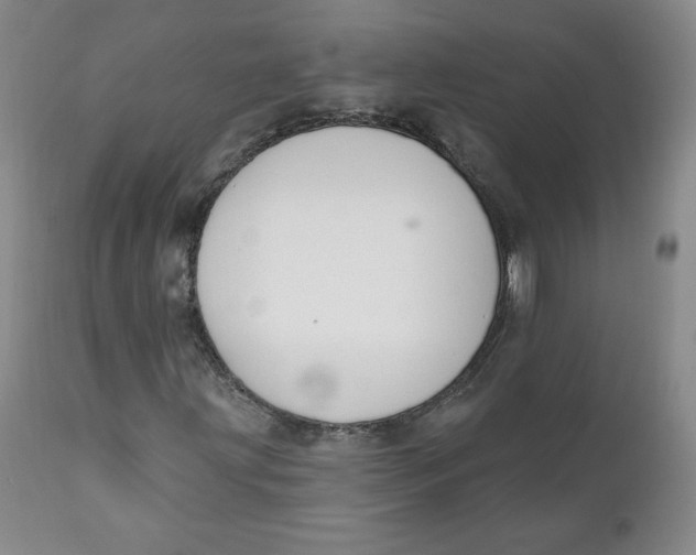 X0000110741203200907060959