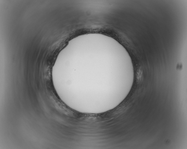 X0000110741204200907060959