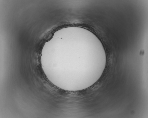 X0000110741205200907060959