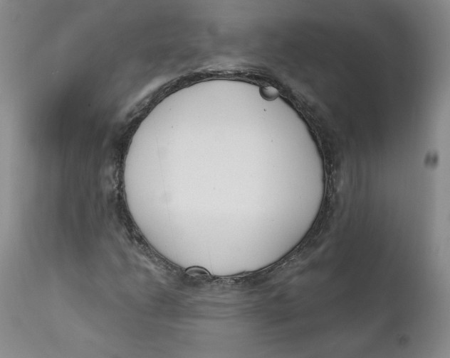 X0000110741206200907060959