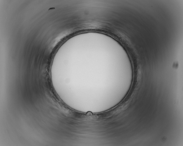 X0000110741210200907060959