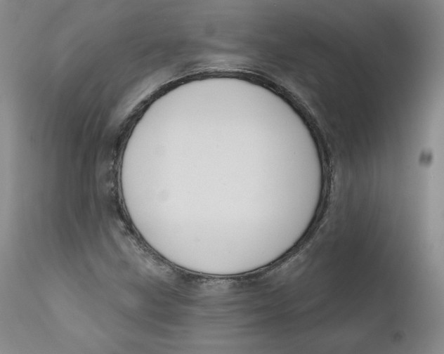 X0000110741211200907060959