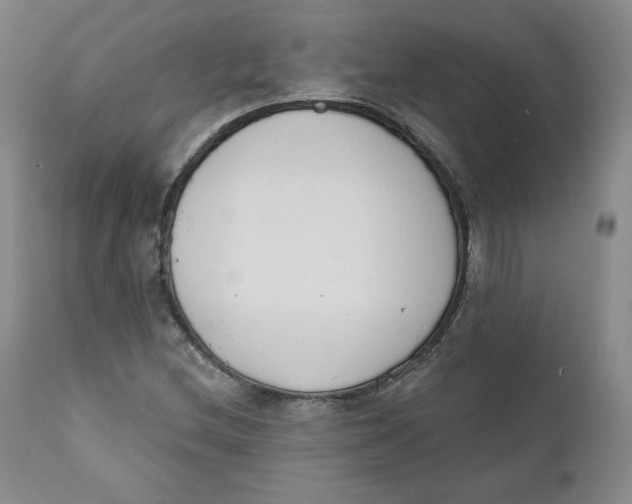 X0000110741212200907060959