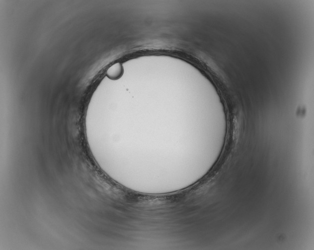 X0000110741213200907060959