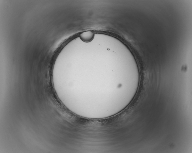 X0000110741214200907060959