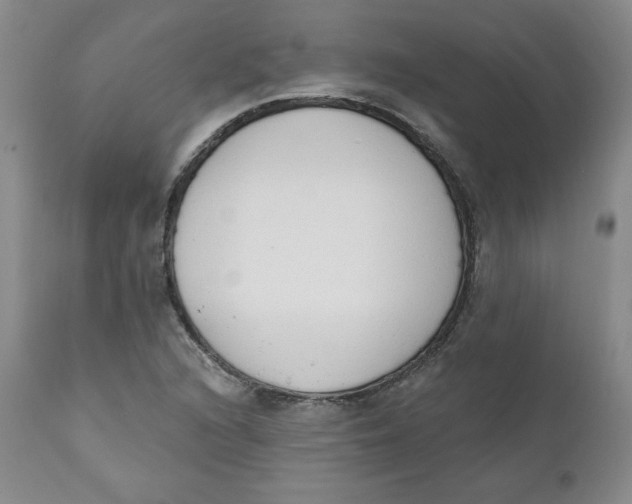 X0000110741216200907060959