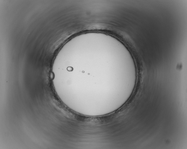 X0000110741217200907060959