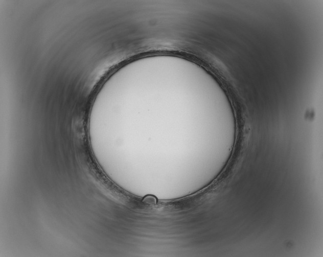 X0000110741218200907060959