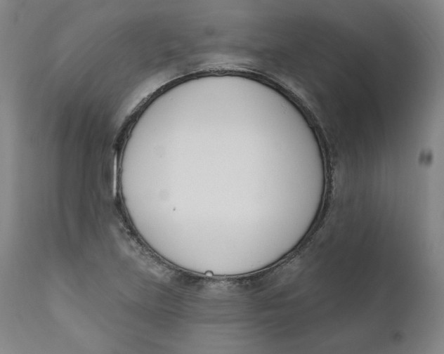 X0000110741219200907060959