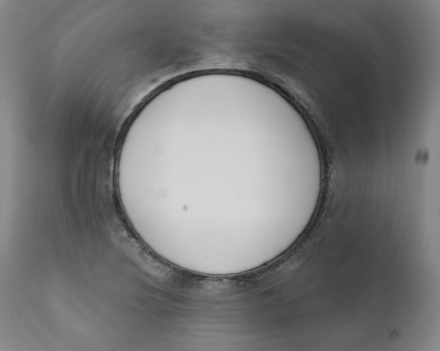 X0000110741220200907060959