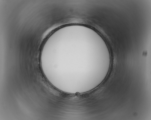 X0000110741222200907060959