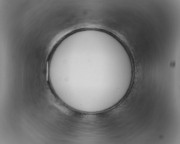 X0000110741223200907060959