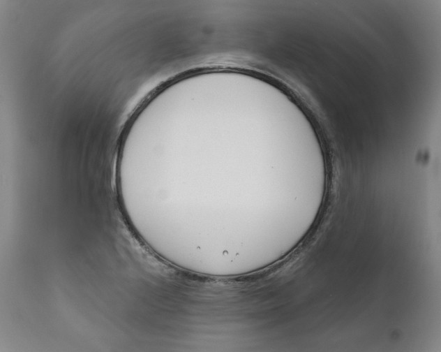 X0000110741224200907060959