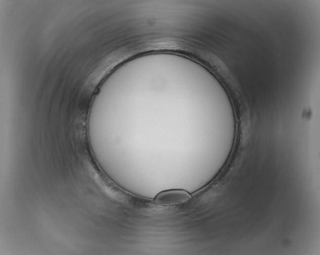 X0000110741225200907060959