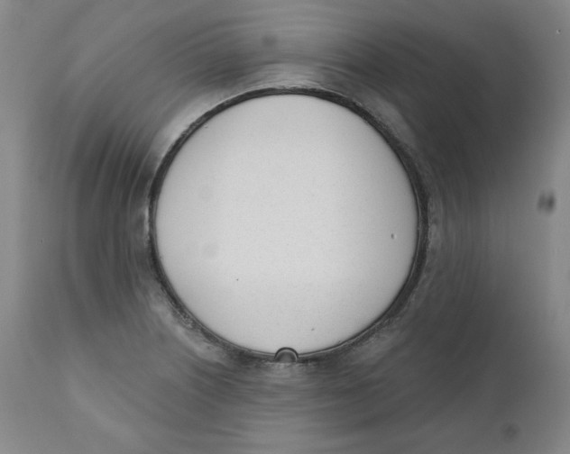 X0000110741226200907060959