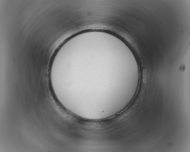 X0000110741229200907060959