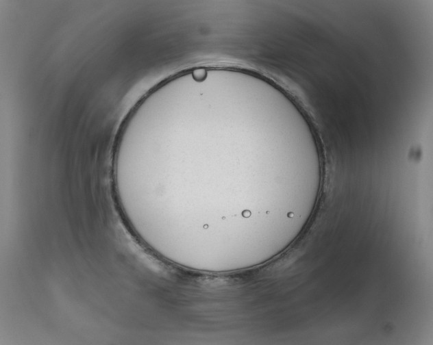 X0000110741231200907060959