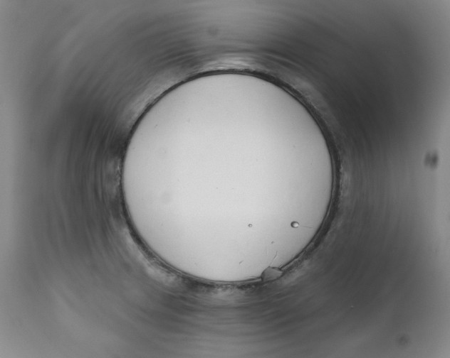 X0000110741233200907060959