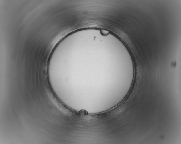 X0000110741234200907060959