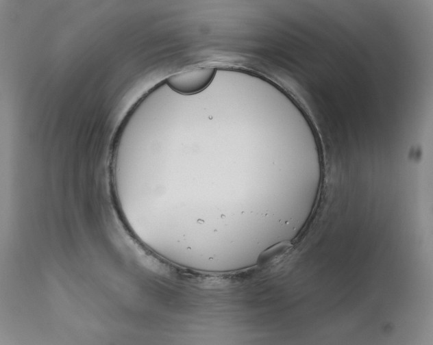 X0000110741235200907060959