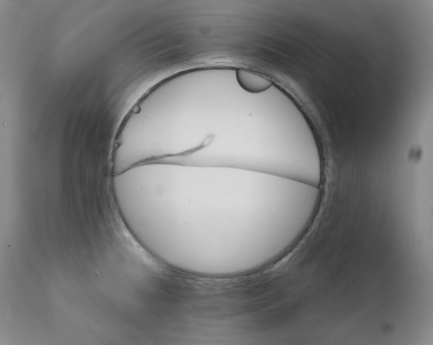 X0000110741236200907060959