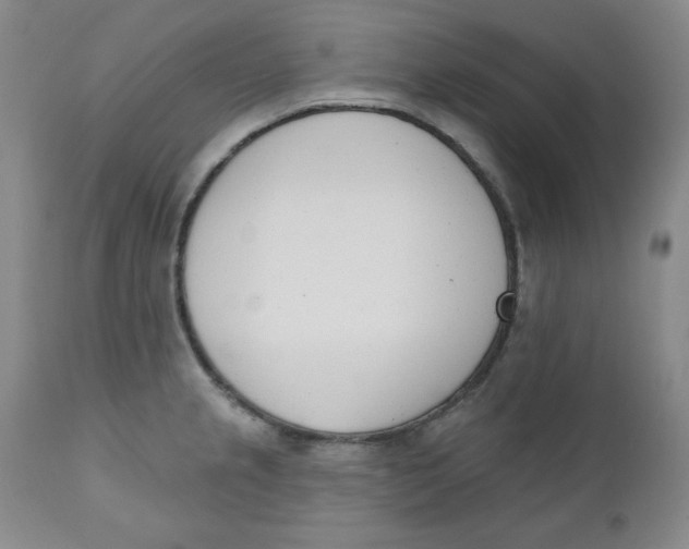 X0000110741237200907060959