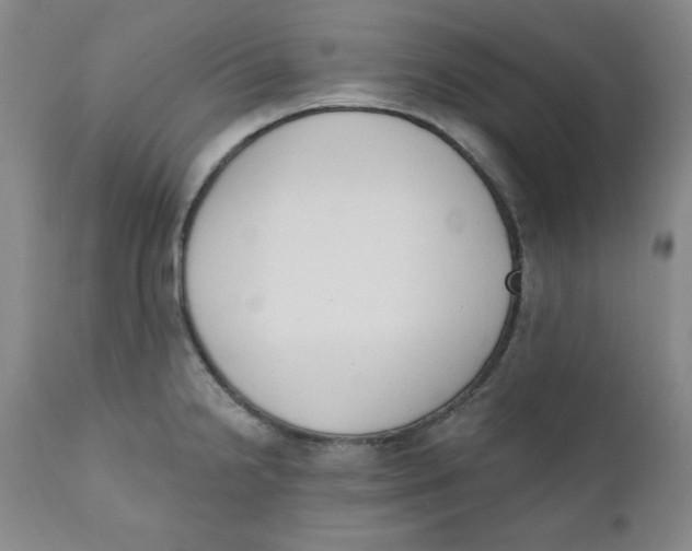 X0000110741238200907060959