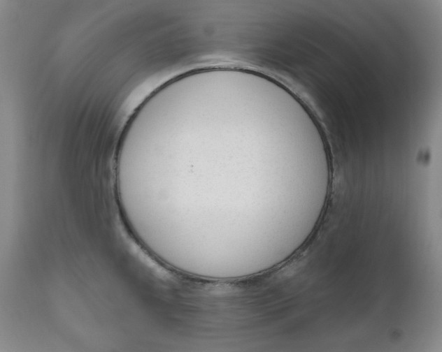 X0000110741239200907060959