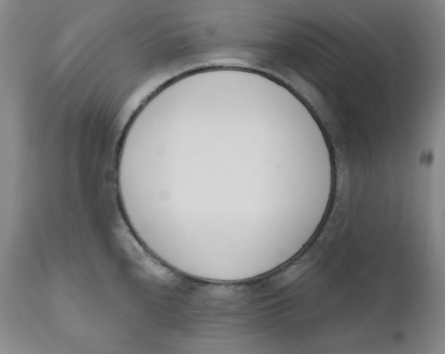 X0000110741240200907060959