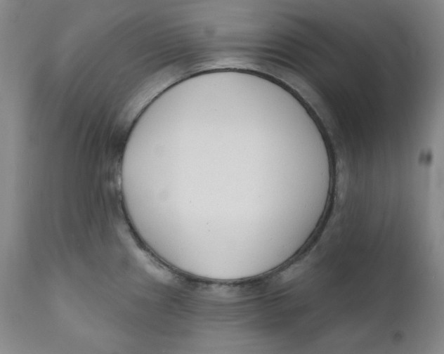 X0000110741241200907060959