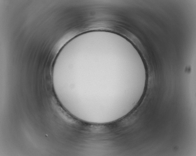 X0000110741242200907060959