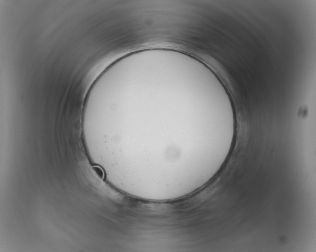 X0000110741244200907060959